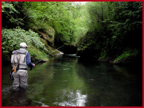 Sur la Nive de B&eacute;h&eacute;robie dans les gorges de Sousignat&eacute;